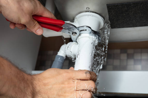 Water damage restoration mold remediation in NM