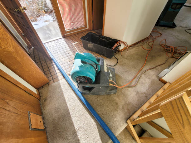  Zuni Pueblo, NM Water damage restoration Pros