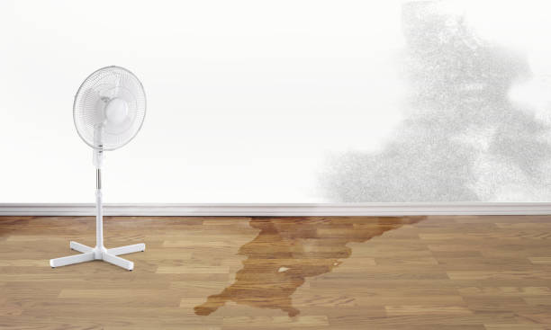 Water damage restoration process in NM