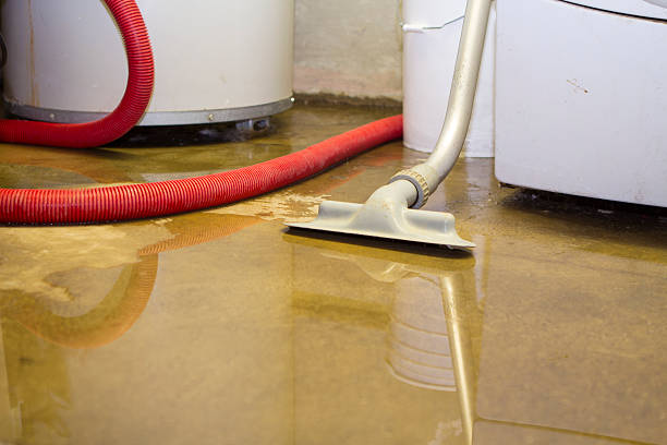 Best Local water damage restoration  in Zuni Pueblo, NM